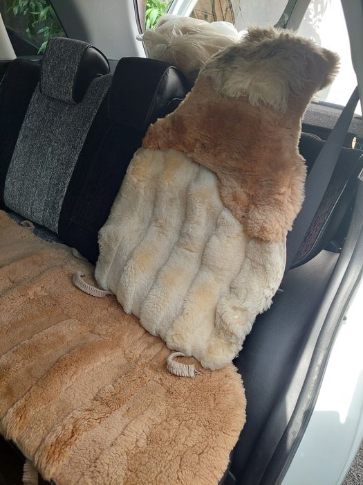 Автомобильные чехлы