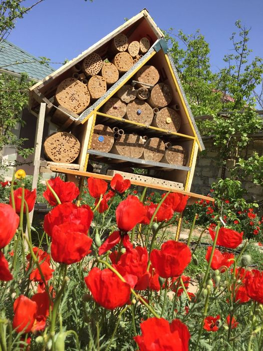 Продам запечатанные бревна пчелы  "ОСМИЯ"