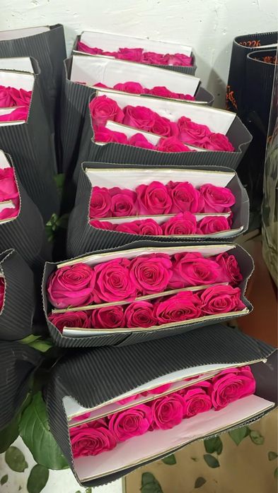 Розы Оптом А класс