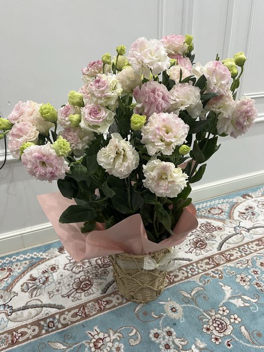 Цветы б/у Алматы