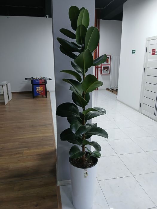 Ликвидация товаров для офиса