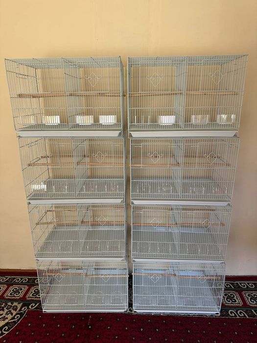 Qafasla sotiladi hitoy 60/40/40 yengi