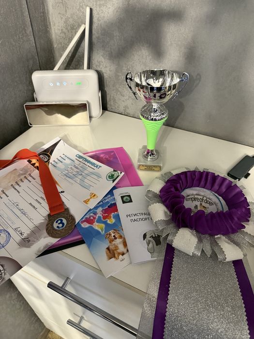 Предлагается к вязке