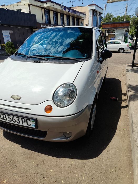 Matiz prastoy gen bor