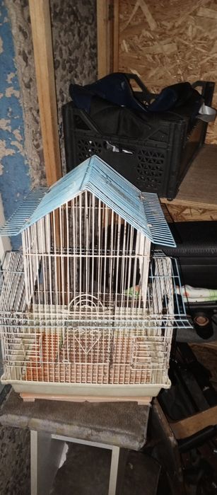 Продаётся клетка срочно можно договориться