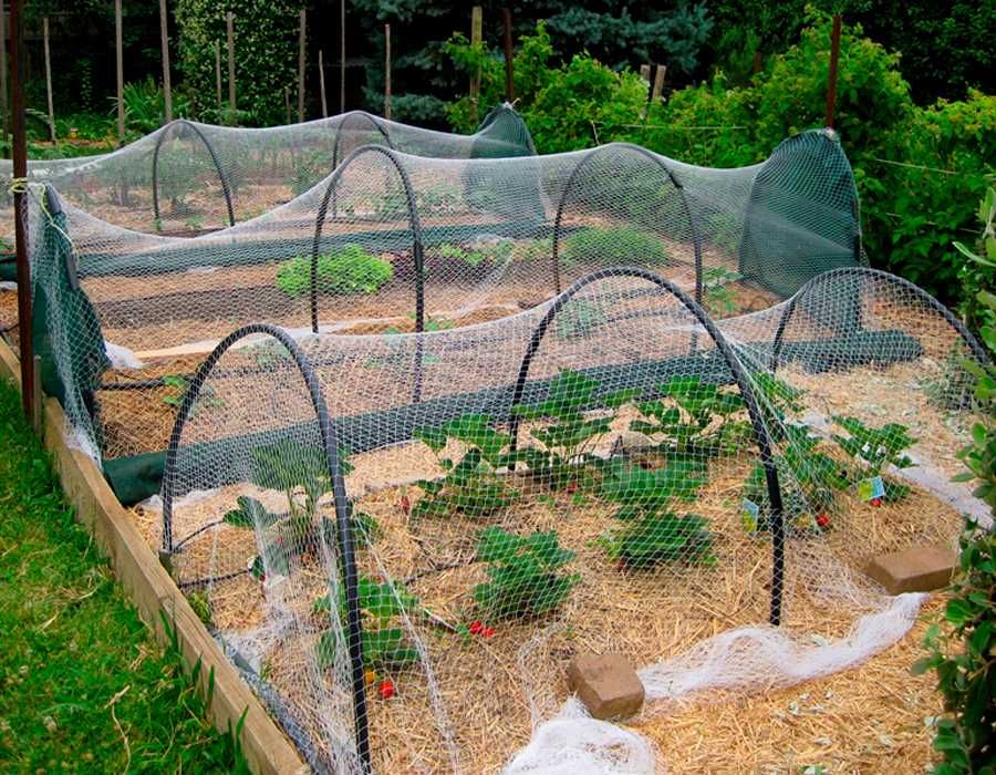 Садовая сетка пластиковая