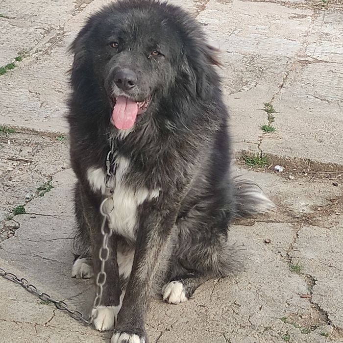 Продавам майка, баща и  син