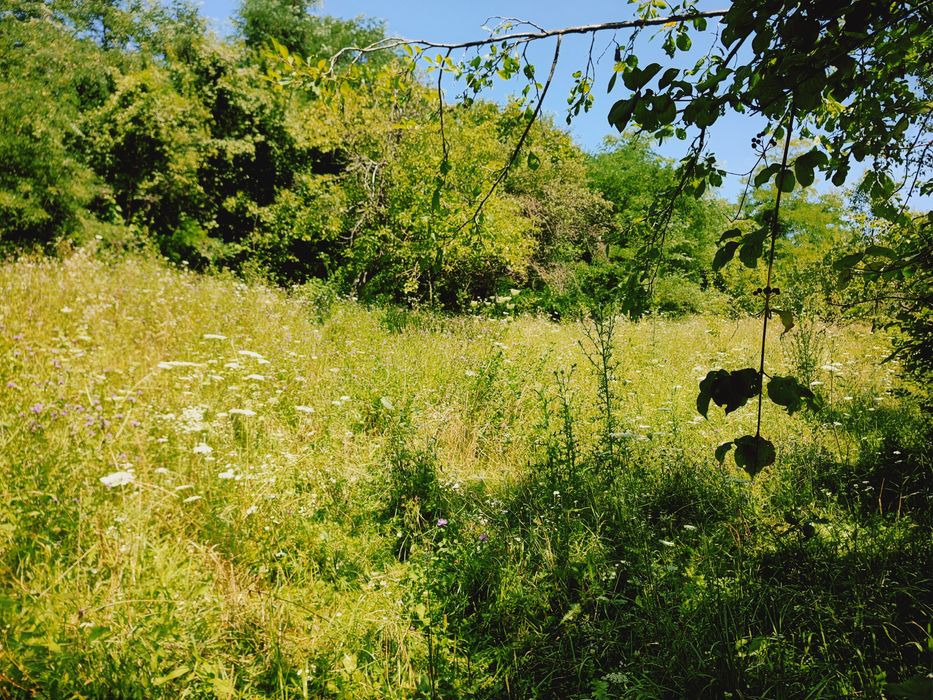 De vânzare teren intravilan – 2.500 mp ,15 euro mp,sat Ulmețel, Rm.VL