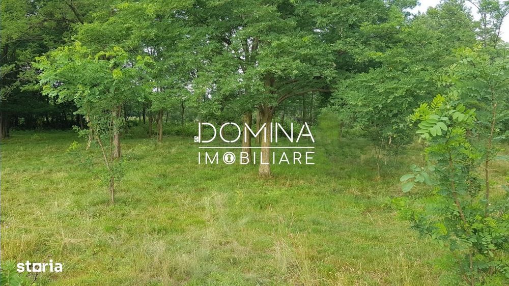 Vanzare teren intravilan 6843 mp, sat Polovragi