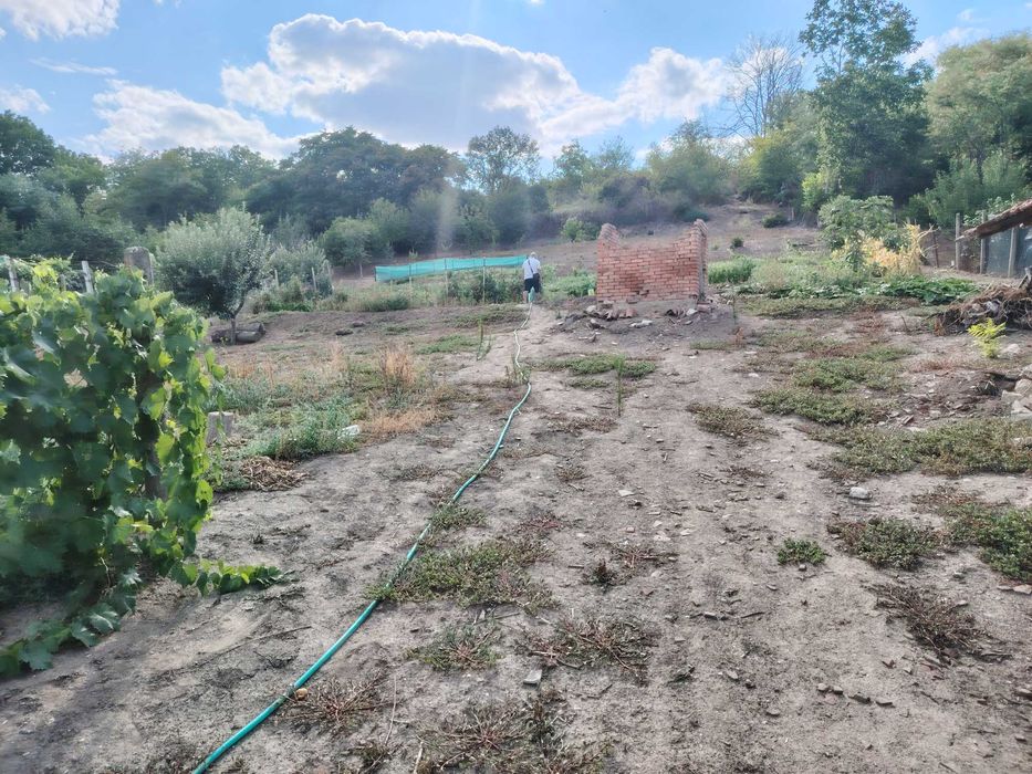 Продава се Парцел в с. Ситово, Област Силистра - 2300 кв.м за 4 €/кв.м - Снимка #1