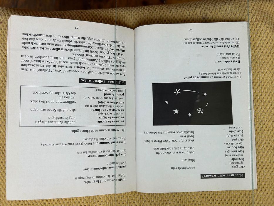 Жаргон, франко-сленг – другият френски език