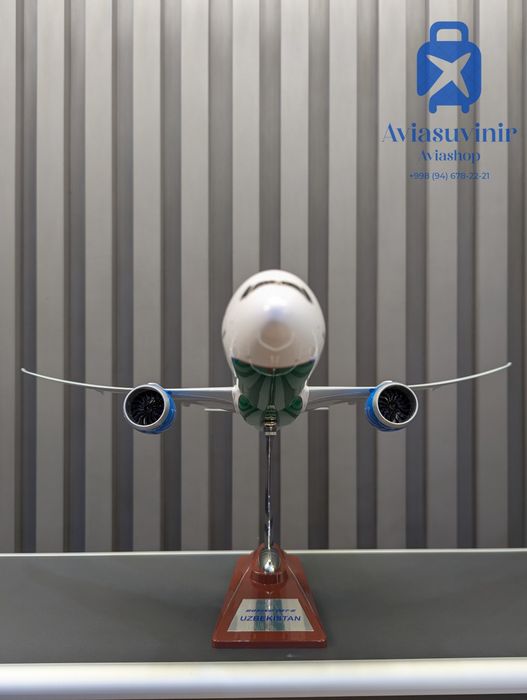 Uzbekistan Boeing 787 Dreamliner