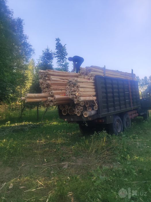 Terak mahsulotlari bor istalgan razmerlarda qilib beramiz.qurilish  ga