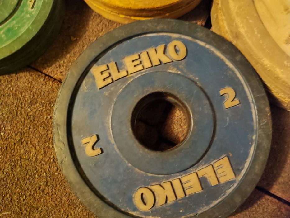 Лост състезателен Полски Елейко Дискове