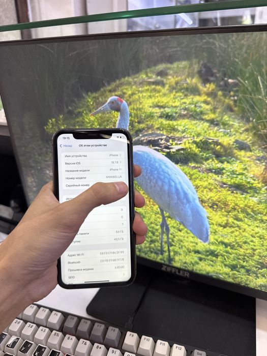 iphone 11 arzon narx