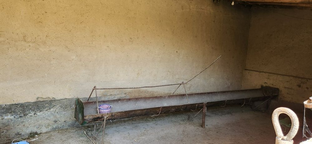 Tezda 15sotix 12xonla hovli sotiladi

Uy