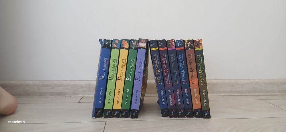 Serie de cărți ,,Pisicile Raboinice'' de Erin Hunter, volumele 2-12