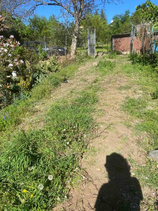 Косене на трева почистване на запустели терени и дворове