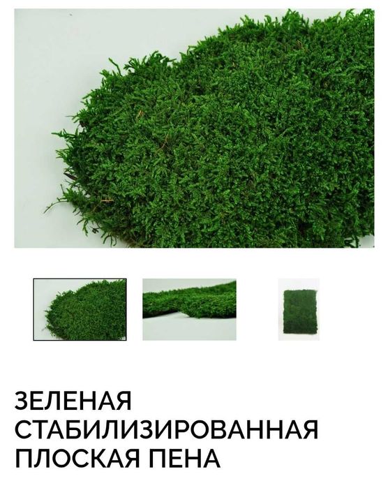 Стабилизированный природный мох доставка под заказ