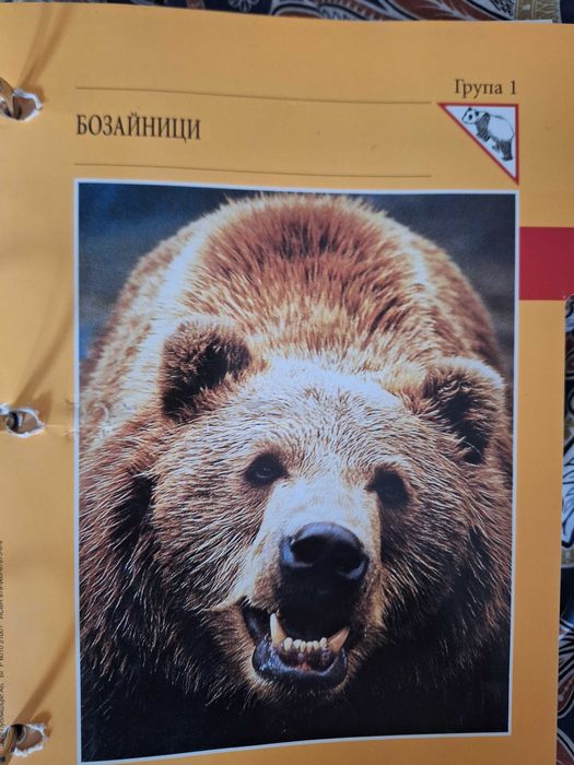 Енциклопедии "Чудният свят на животните"