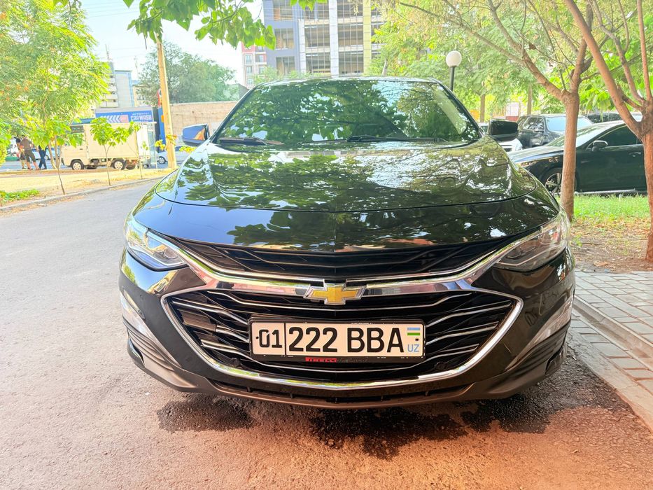 Malibu 2  premier 2023 yil bir qol