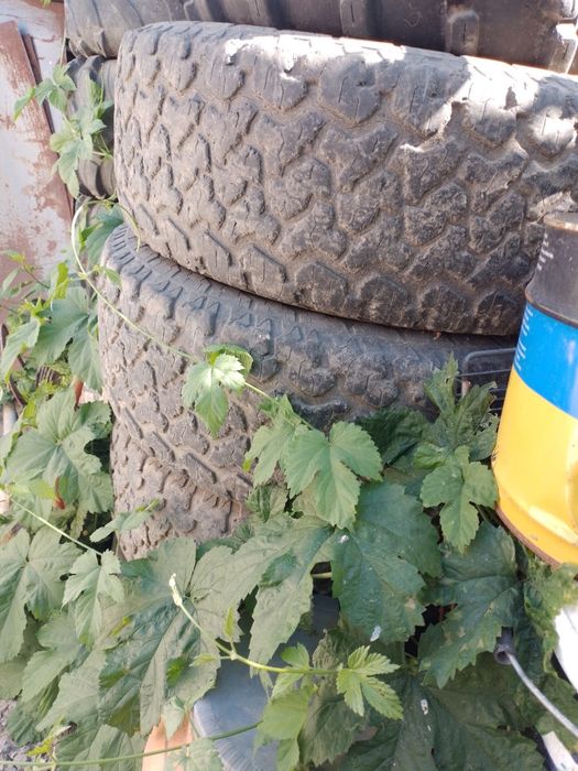Продам комплект шин 275/70 R16.