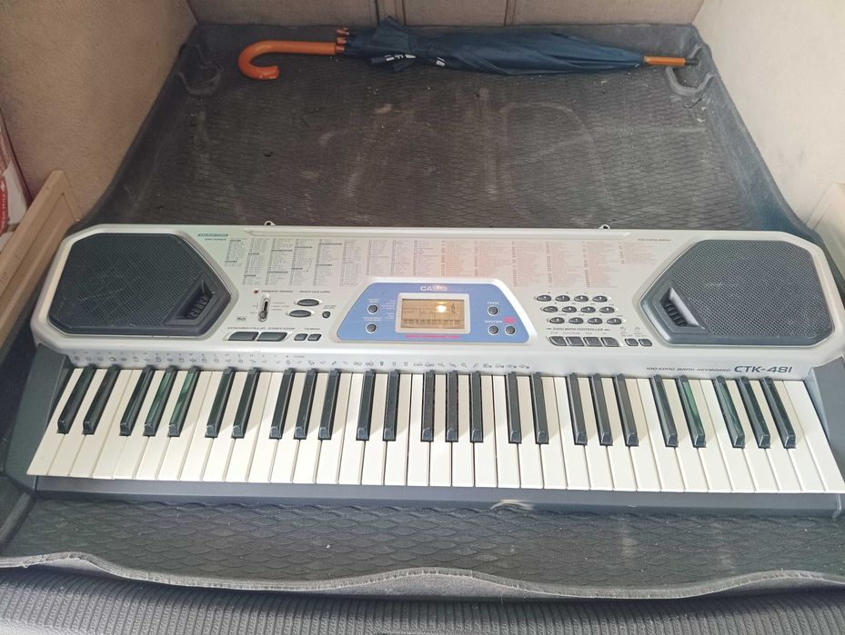 Синтезатор Casio CTK491