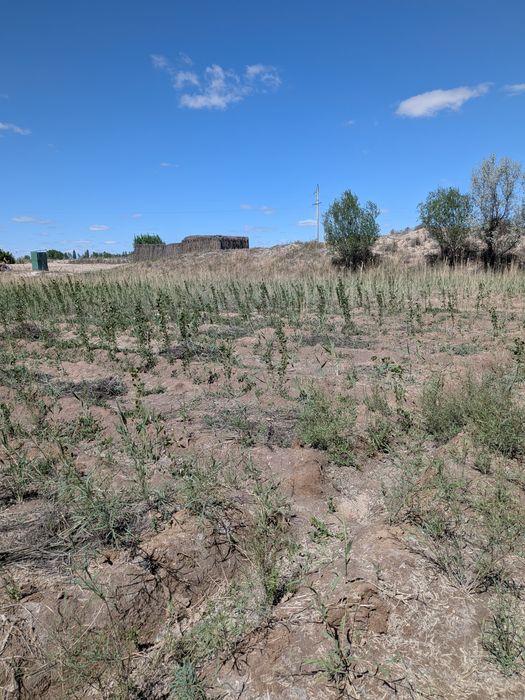 Дача сатылады манзил Шагал копир ориентир Орнек