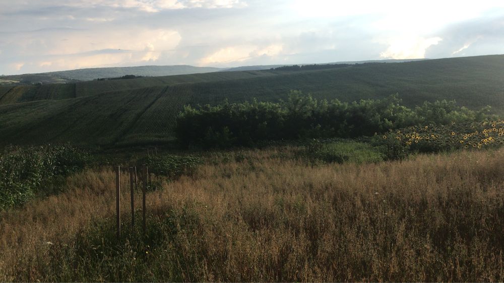 Teren intravilan in Iezer, (Padureni) jud. Botoșani