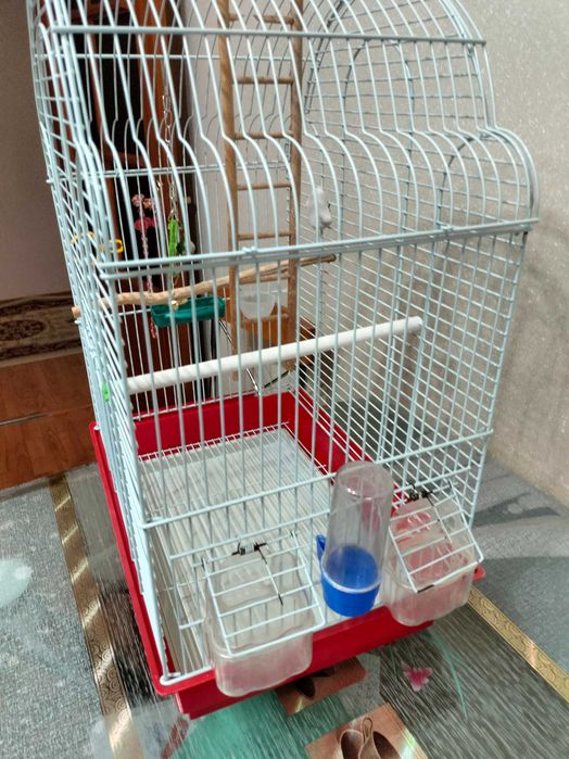 Продам клетку с аксессуарами для попугаев