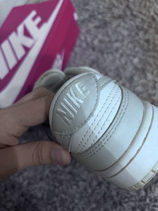 Nike dunk grey noi