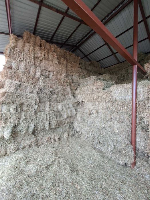 Vând baloți de fân.