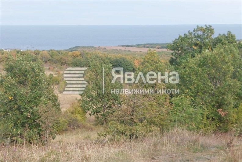 Продава се Земеделски имот в Царево -  кв.м за 2 €/дка - Снимка #2