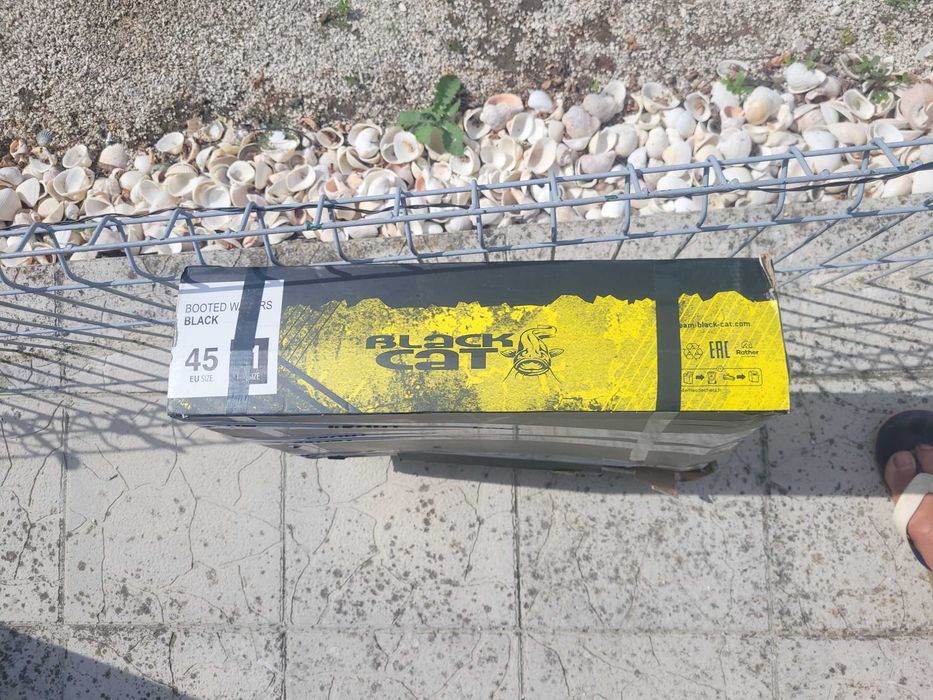 Гаштиризон blact cat