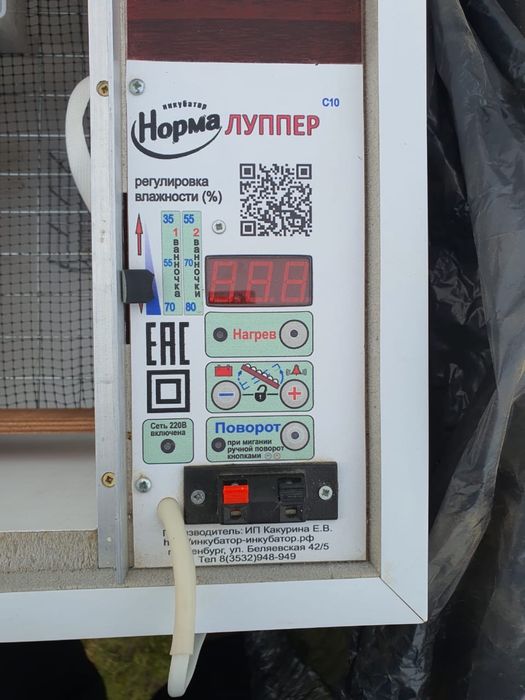 инкубатор для яиц