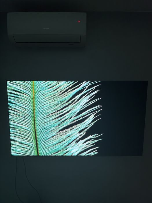 LG OLED G4 55 диагональ, 2024 года