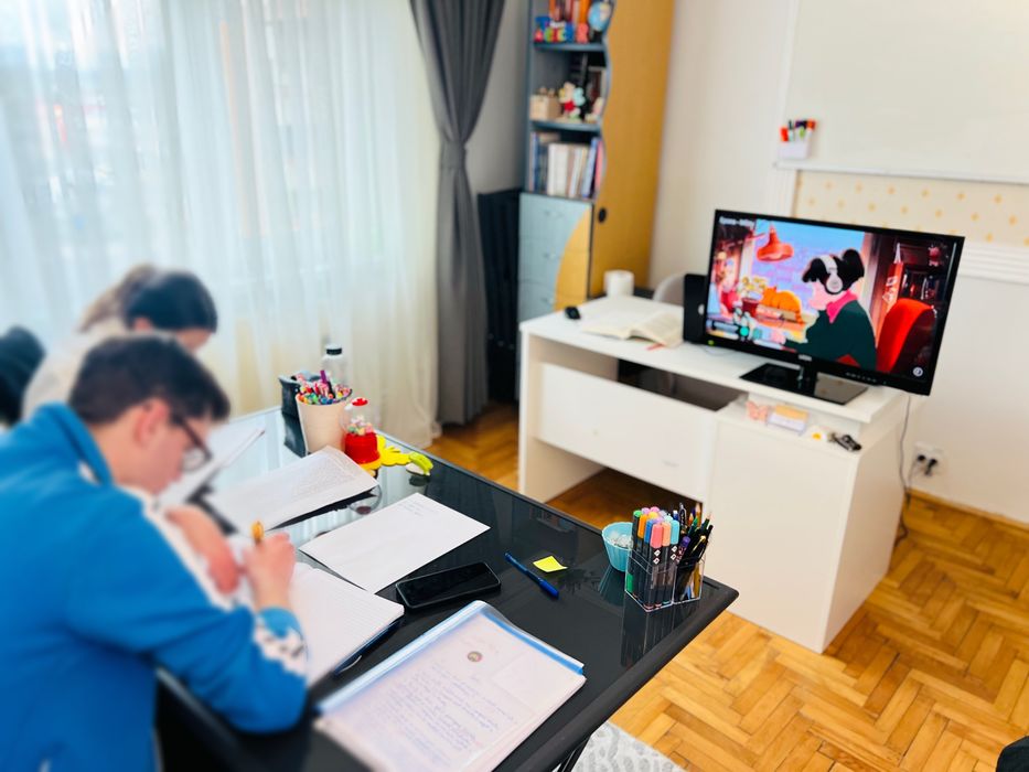 Meditatii-Română-Bacalaureat  2026