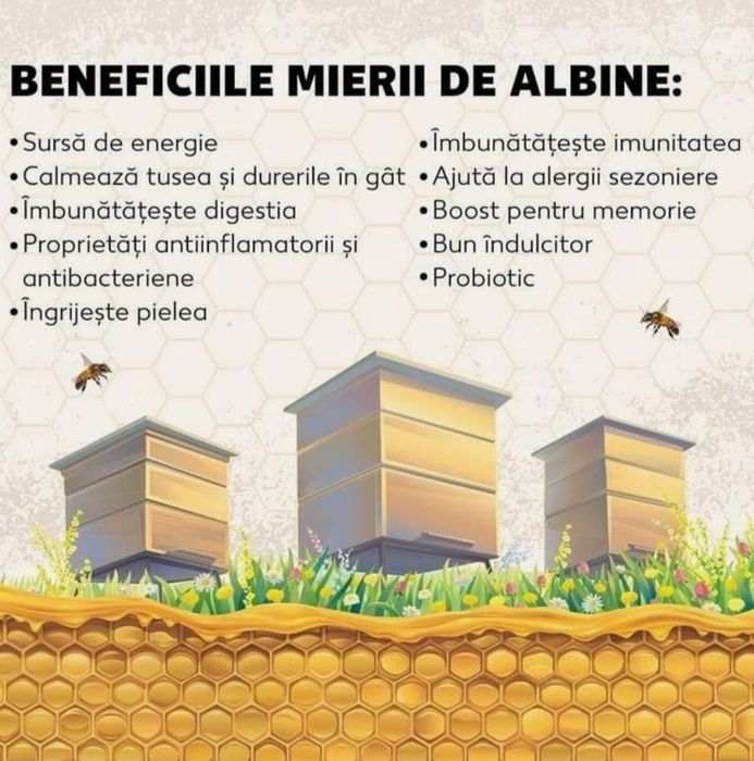 Miere de albine BIO
