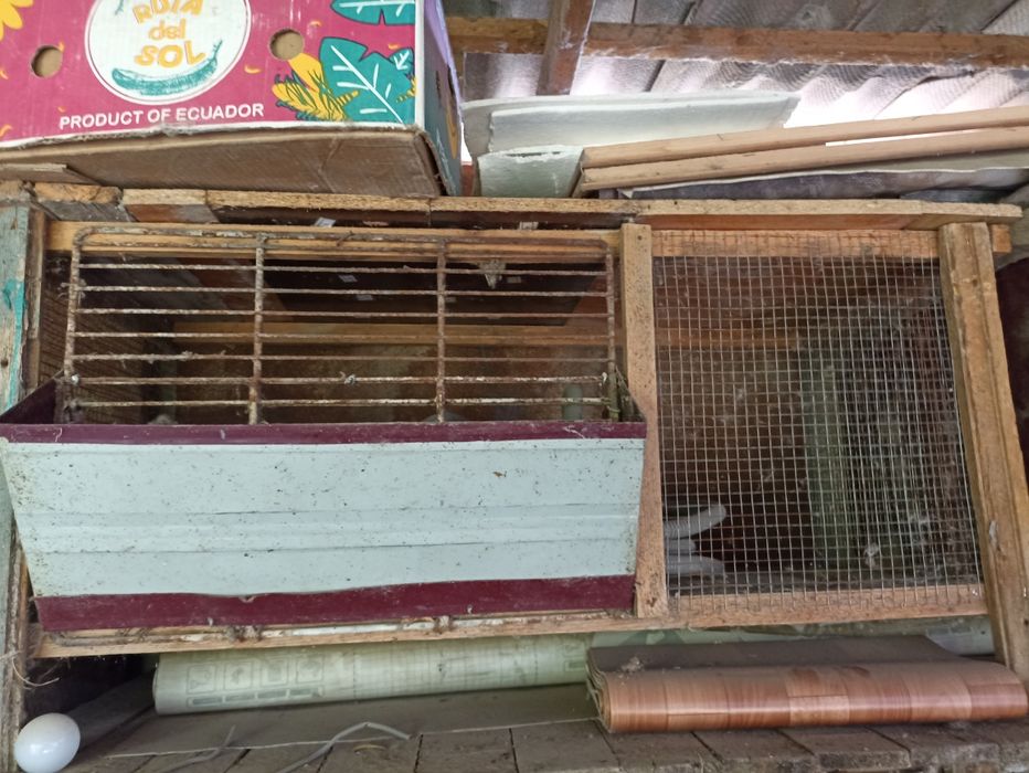 Крольчатники самодельные