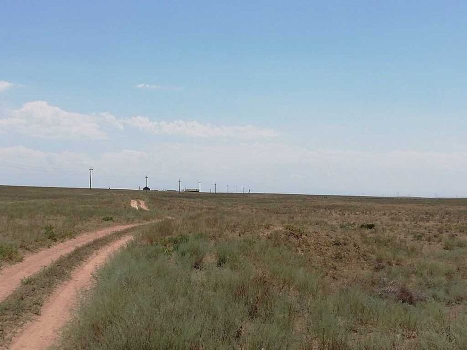 Сдам в аренду земельные участки