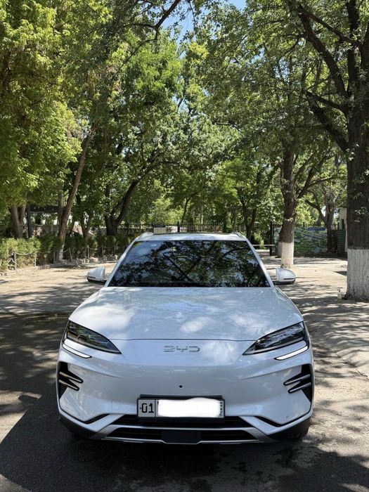 Byd Champion Restaylin 605км.    23500$
