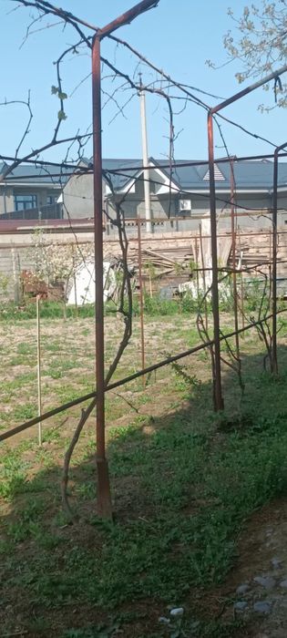 участок 8 соток