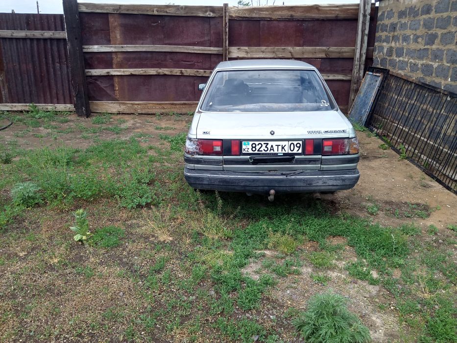 Таиота карина 1984