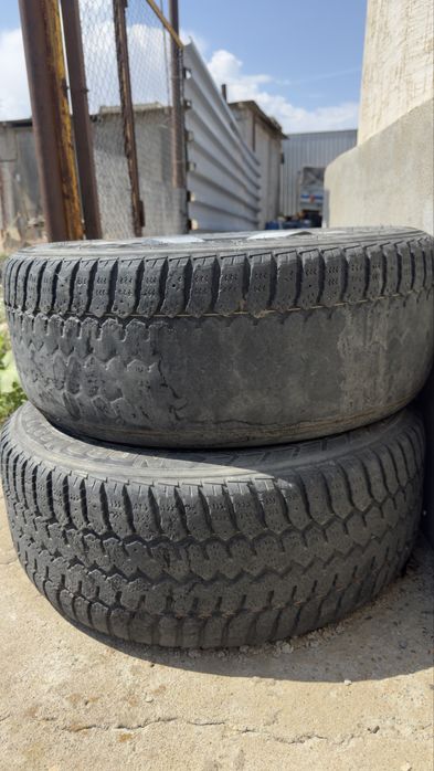 Диска шинасымен