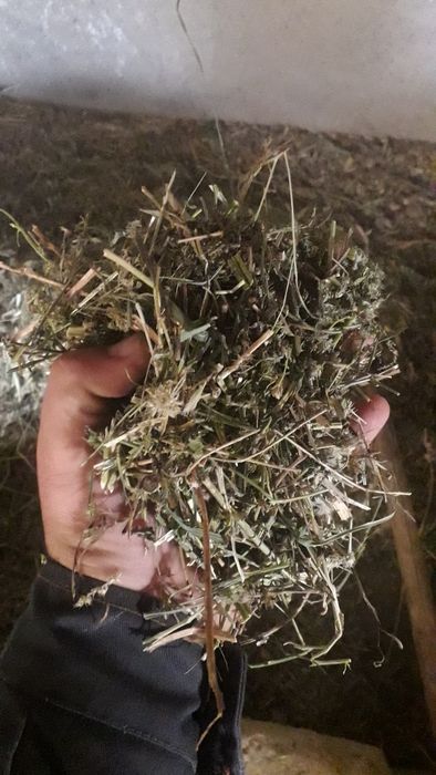 Драбилка сотилади макка пойо беда сомон майдалайди