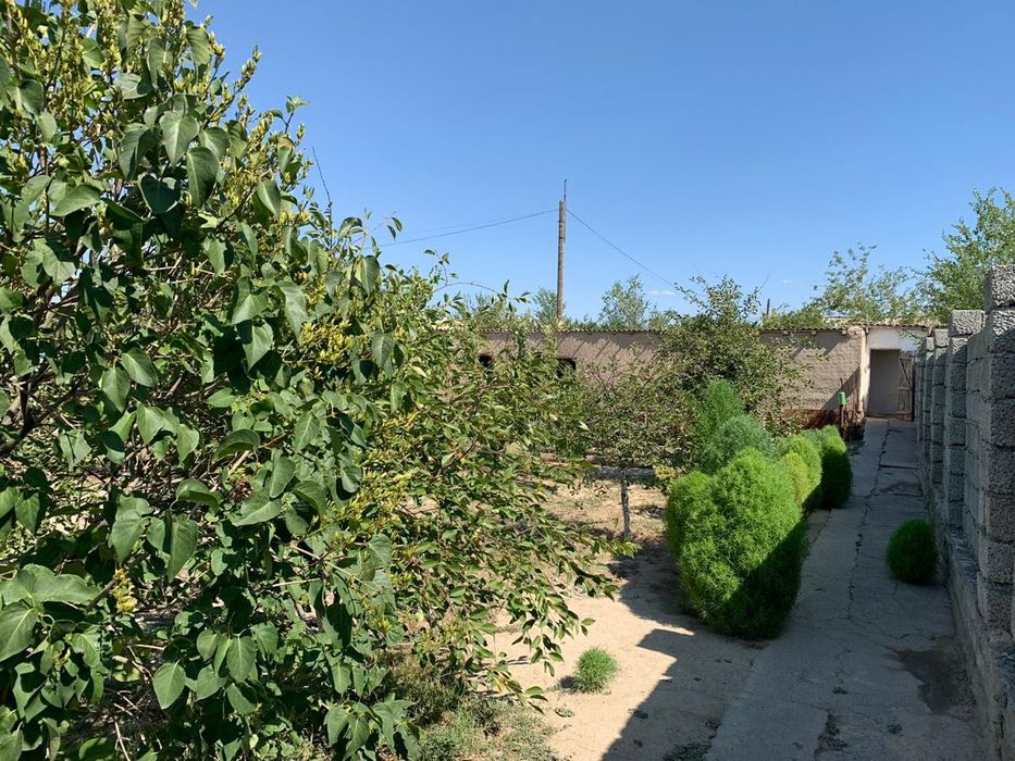 Кой кошкарга ауыстырамын