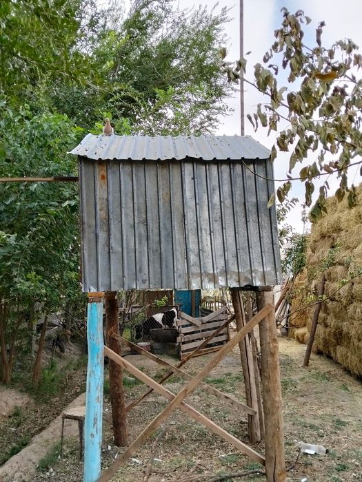 Продается волерь