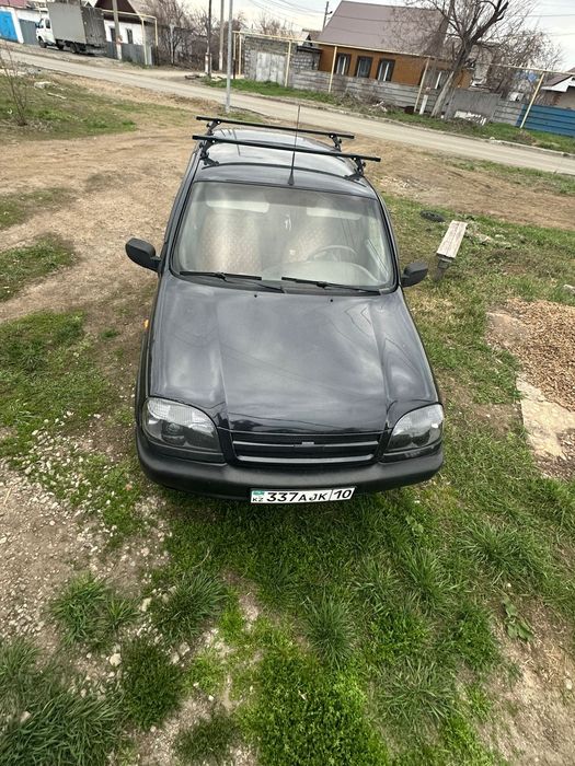 Шнива живая ездиет