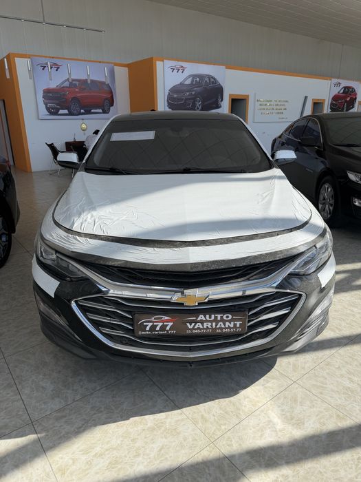 Malibu premer2023