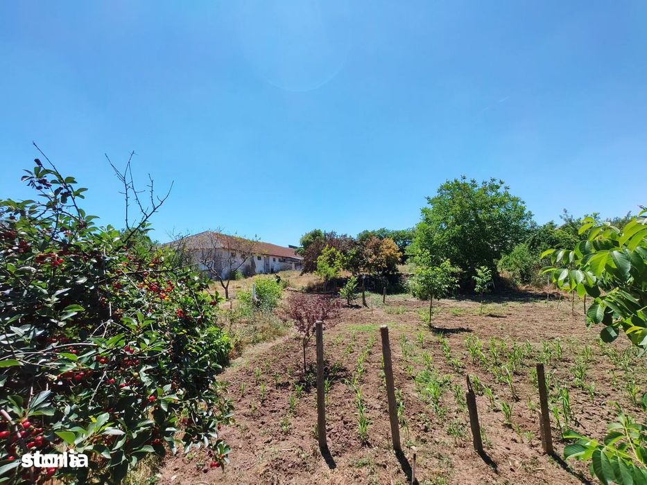 Comision0%-AlmanImobiliare-Oportunitate-TerenIntravilan-ValuLuiTraian